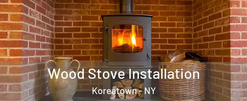 Wood Stove Installation Koreatown - NY